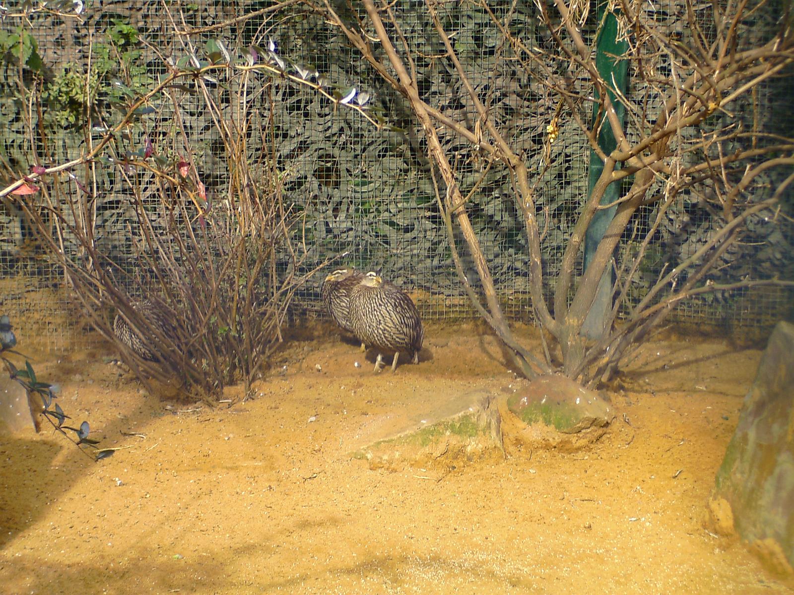 Zoom 18.10.08-107.jpg
